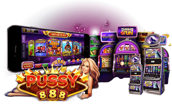 pussy888 apk