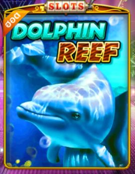 Pussy888-ฝาก10รับ100-Dolphin Reef-1